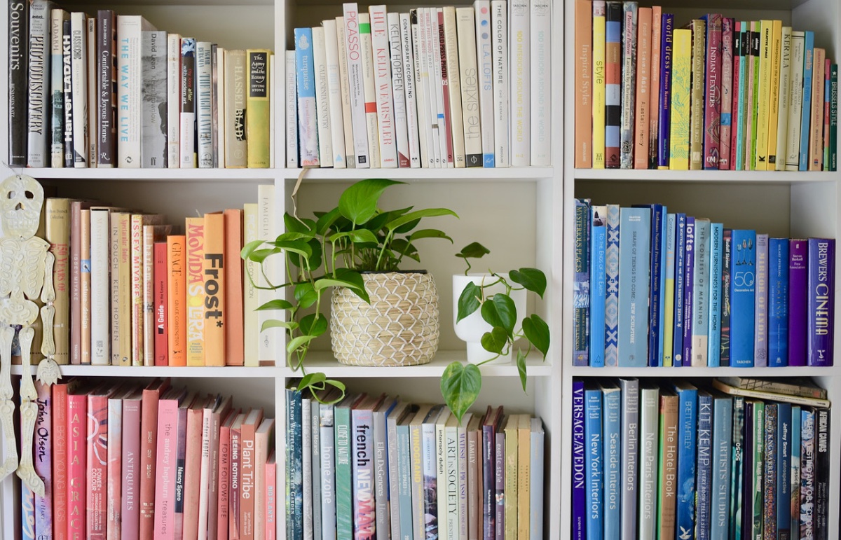 Be inspired and guided on what plant works in what room to style your home.